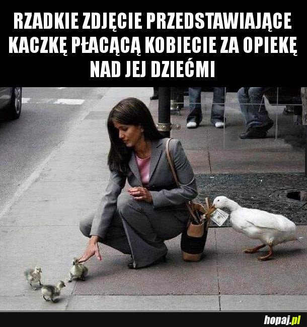 Tak było