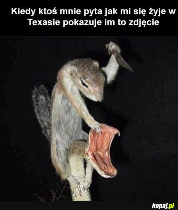 ŻYCIE W TEXASIE