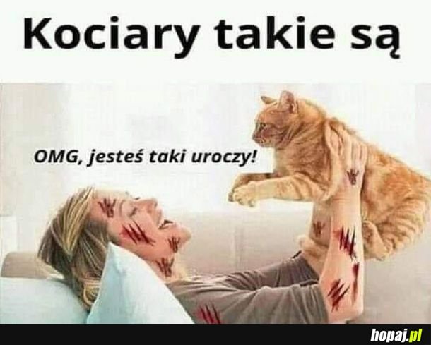 Kociary