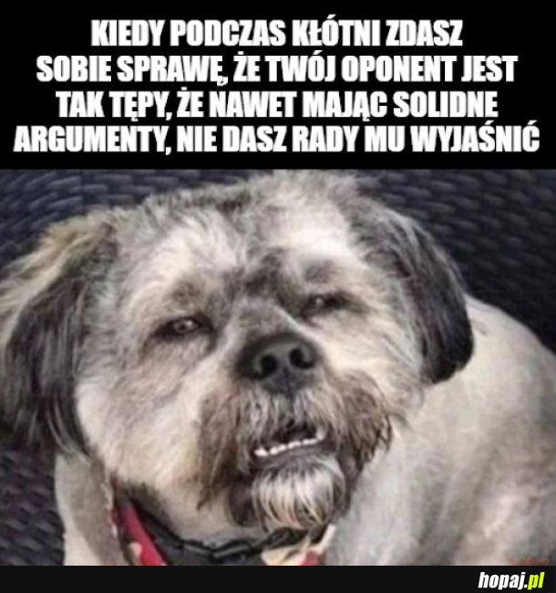 Szkoda szczempić ryja