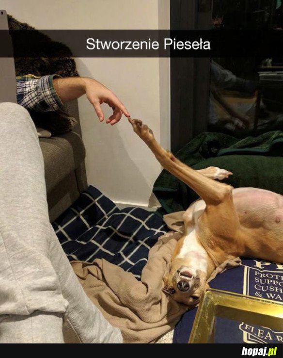 Pieseł