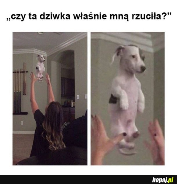 CHYBA SOBIE ŻARTY ROBI