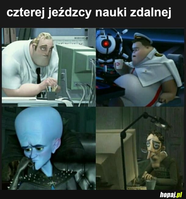 W sumie jakby szkoła
