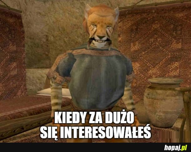 I dostałeś kociej mordy