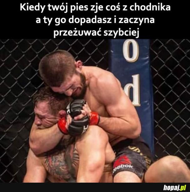 Piesku zostaw to