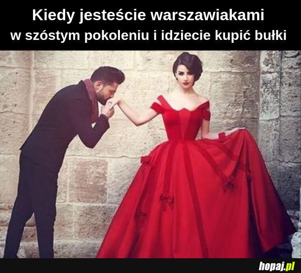  A bułka poznańska XD 