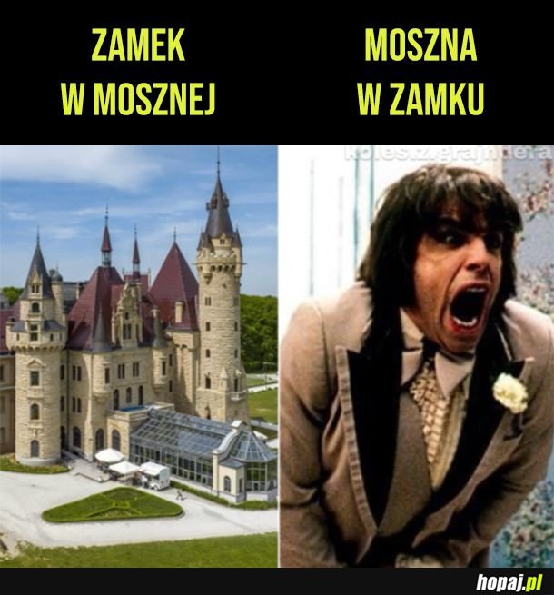 Humor