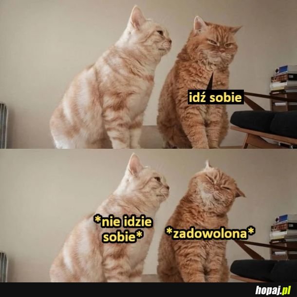 Kłótnia