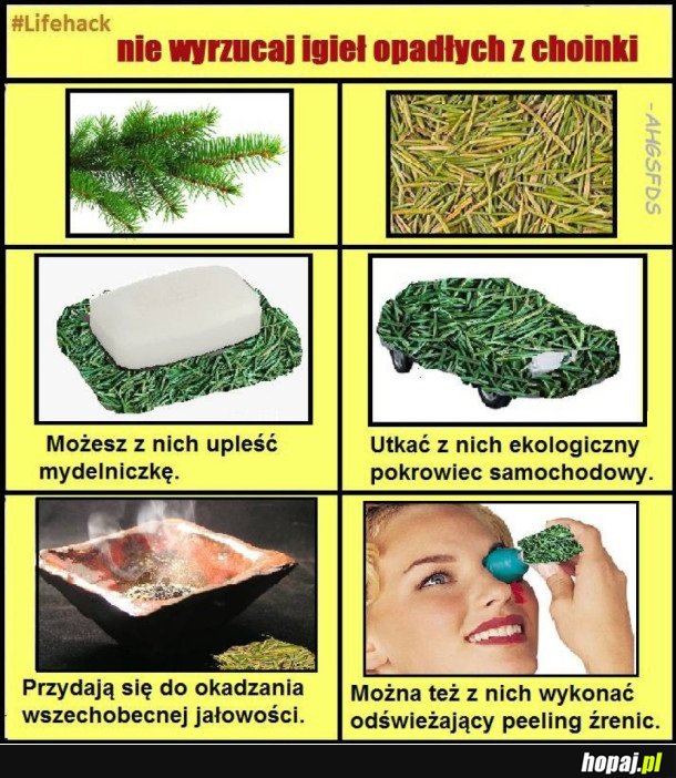 NIE WYRZUCAJ IGIEŁ Z CHOINKI