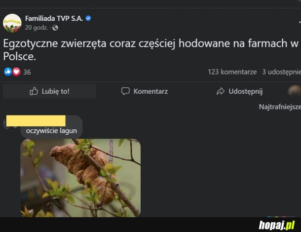 Egzotyczne zwierzęta