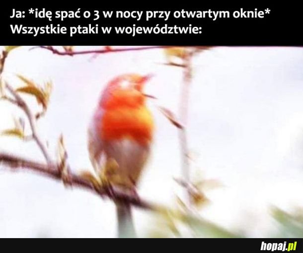 Spanie przy otwartym oknie