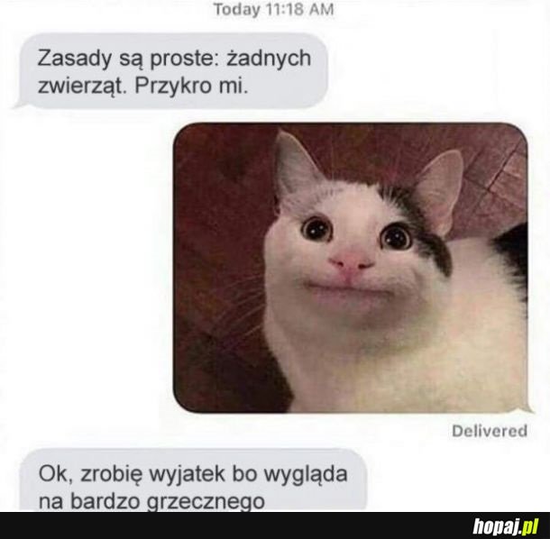 Proste zasady
