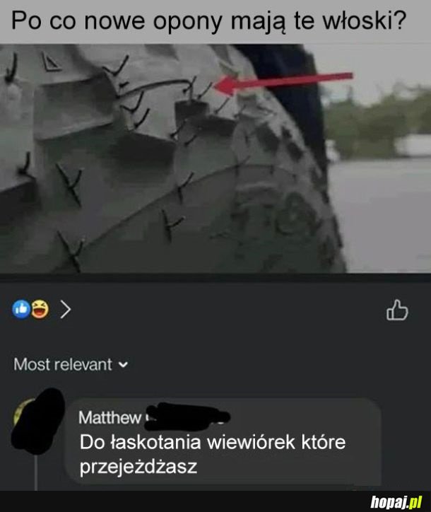 Włoski na oponach