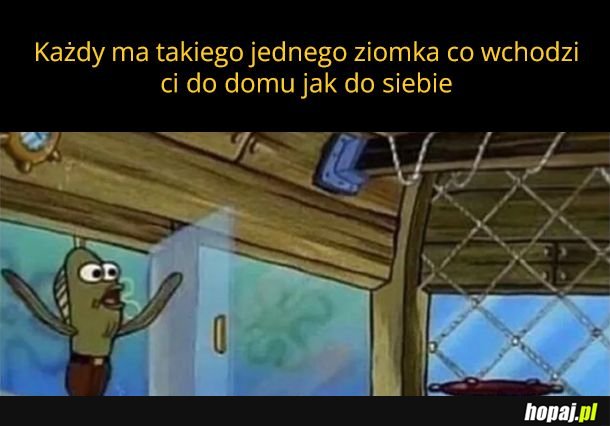 Witam