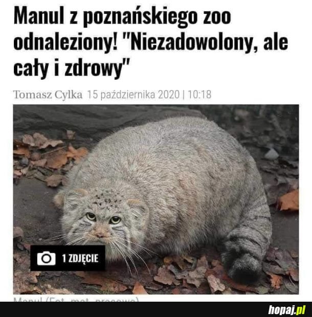 Całe szczęście