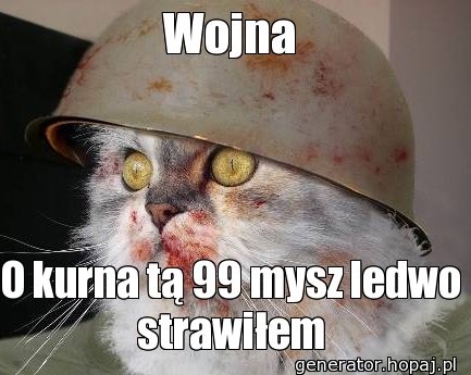 Wojna