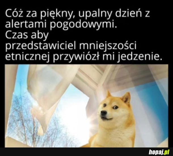 Piękny dzień