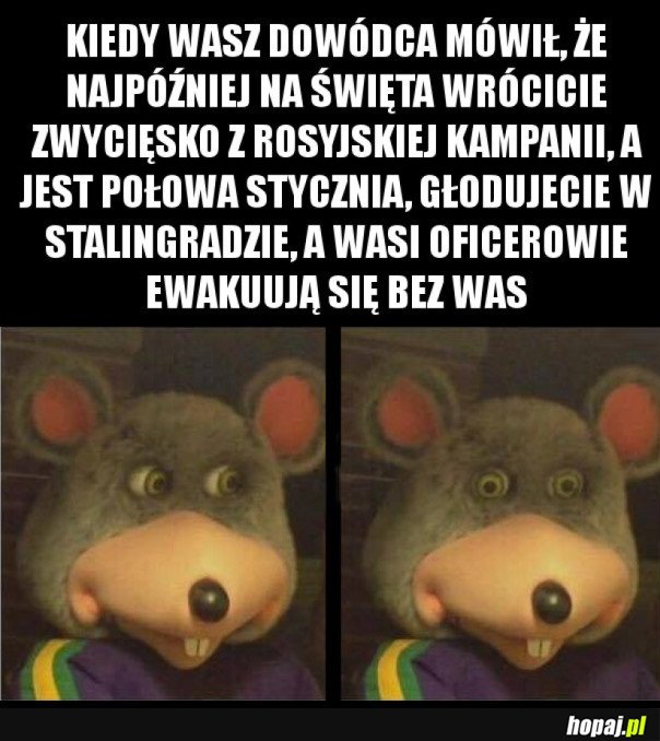 COŚ TU SIĘ NIE ZGADZA