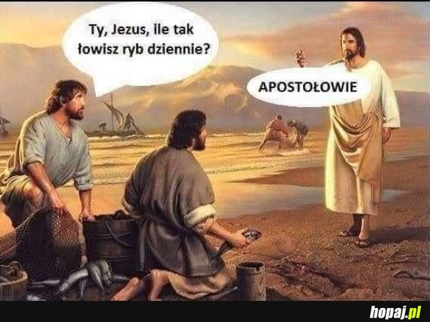  Heheszki