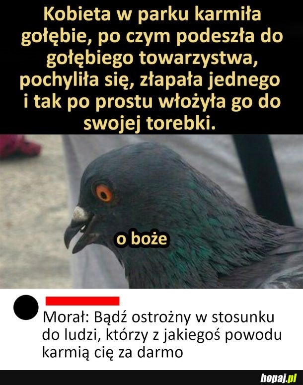 Trzeba uważać