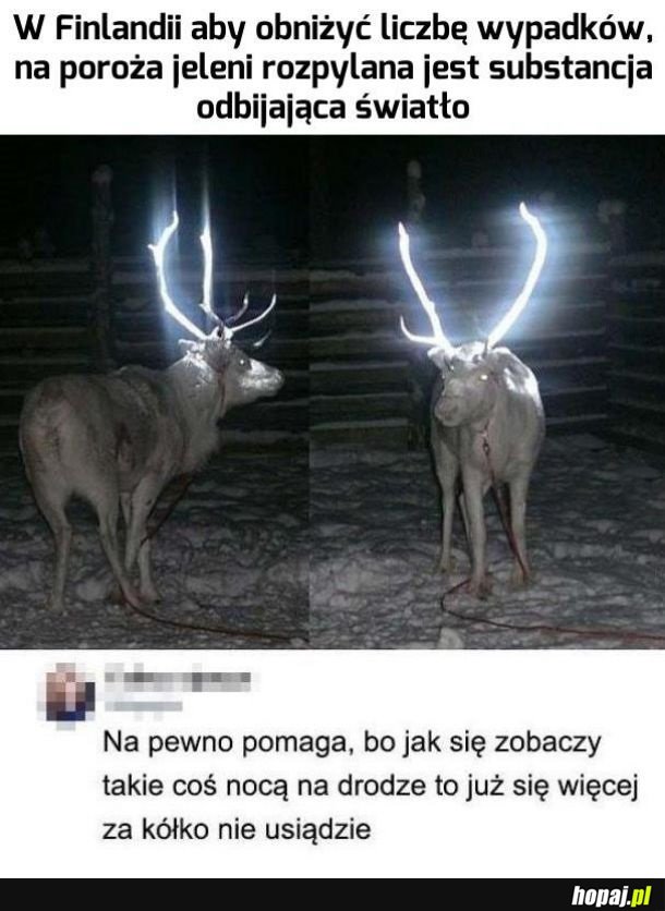 Obniżanie liczby wypadków