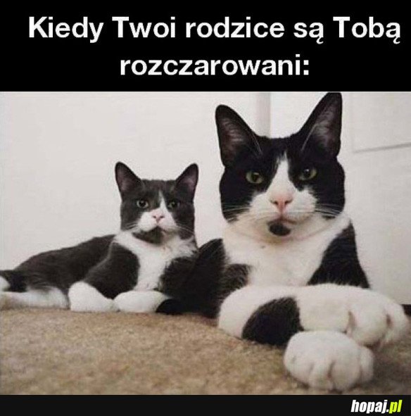 KIEDY TWOI RODZICE SĄ TOBĄ ROZCZAROWANI