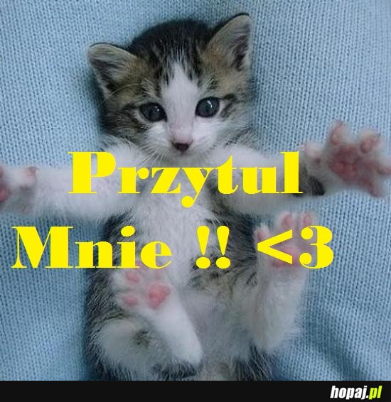Przytul mnie!