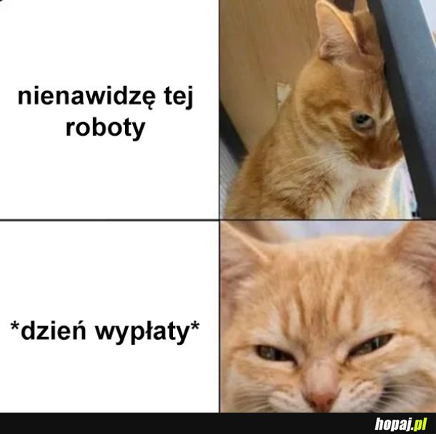 Jeden dzień w miesiącu