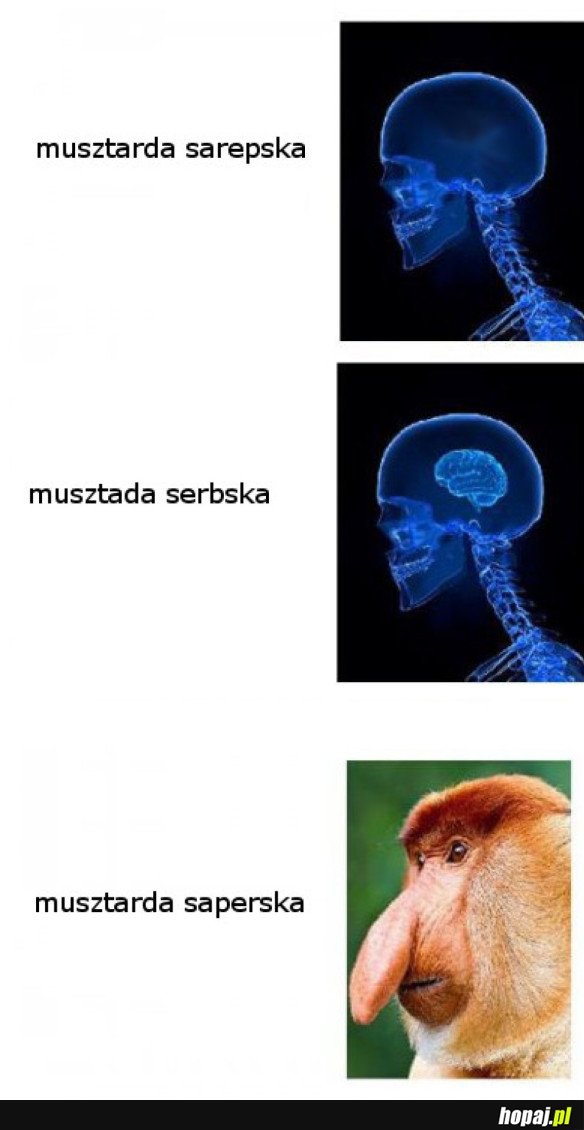 MUSZTARDA