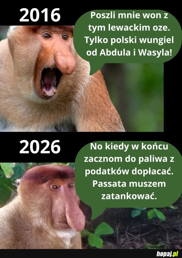 Najwyżej zadłużenie sięgnie 300% PKB