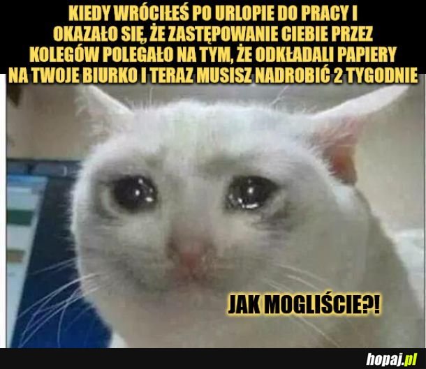 Powroty mogą zaskoczyć xd
