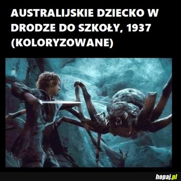 Kiedyś to było.. 