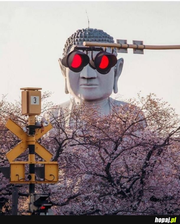 Uwaga, Budda patrzy