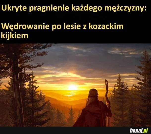 Ukryte pragnienie