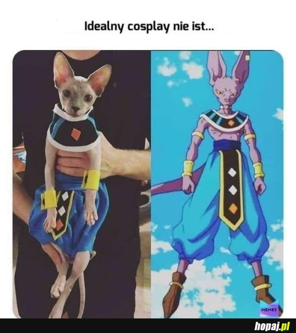 Cosplay