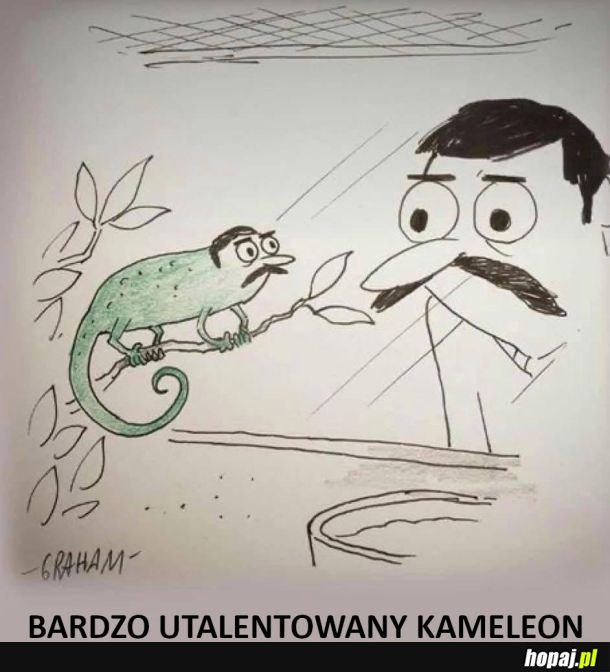 Zdolny kameleon