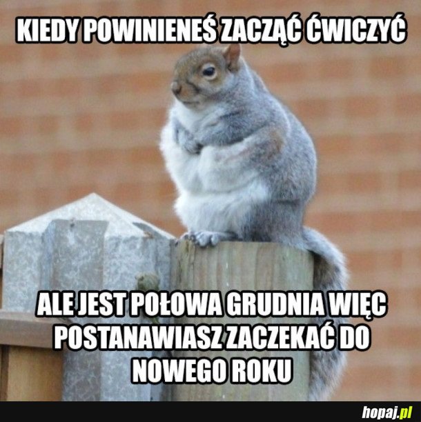 KIEDY POWINIENEŚ ZACZĄĆ ĆWICZYĆ