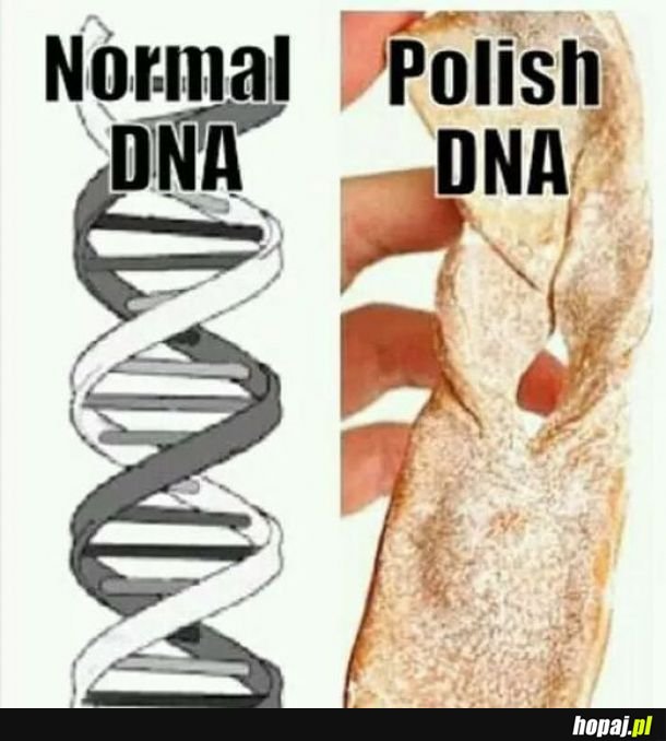 Polskie DNA 