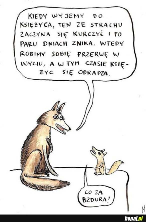 WILKI I KSIĘŻYC 