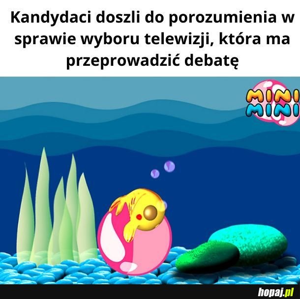 Najlepsza telewizja do bajek