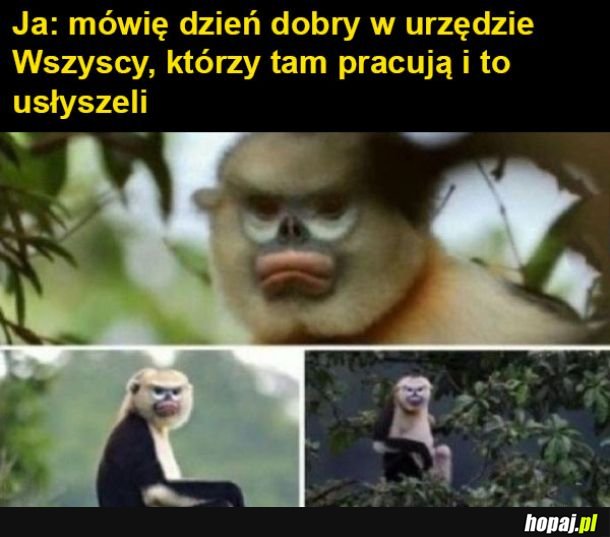 Jakie dzień dobry