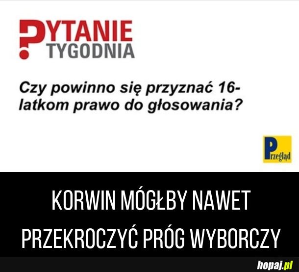 Prawo wyborcze dla nastolatków