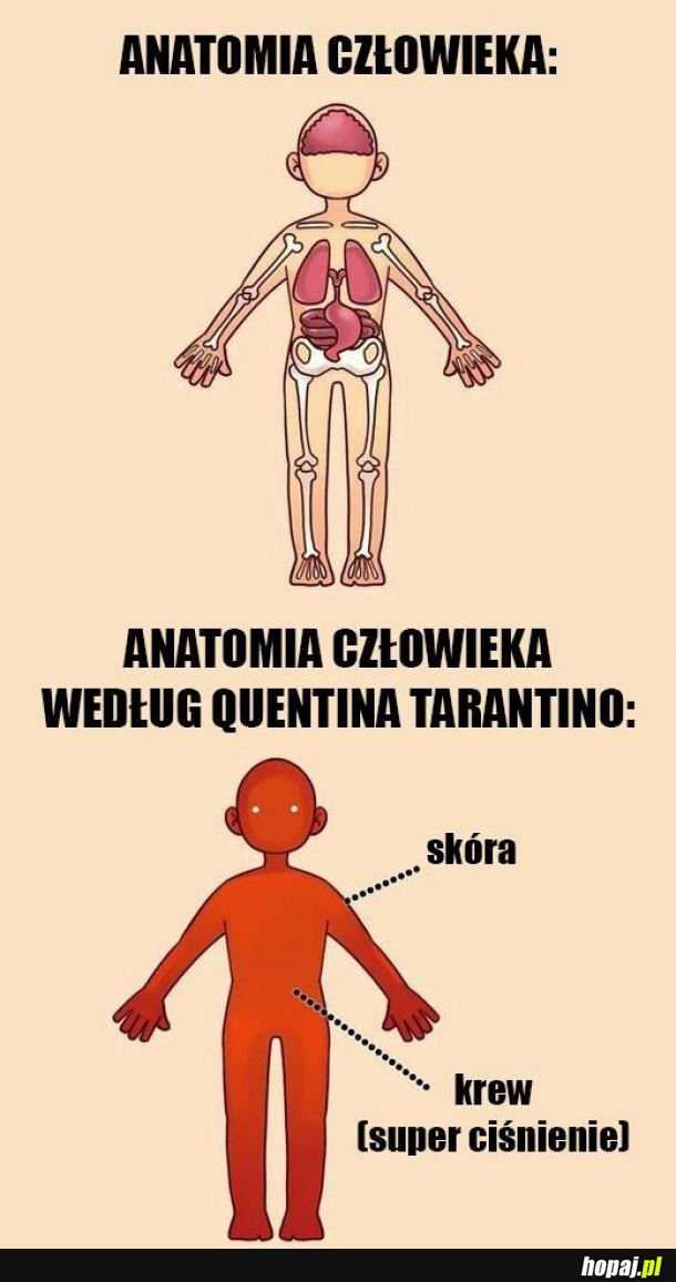 Anatomia człowieka