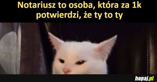 Notariusz