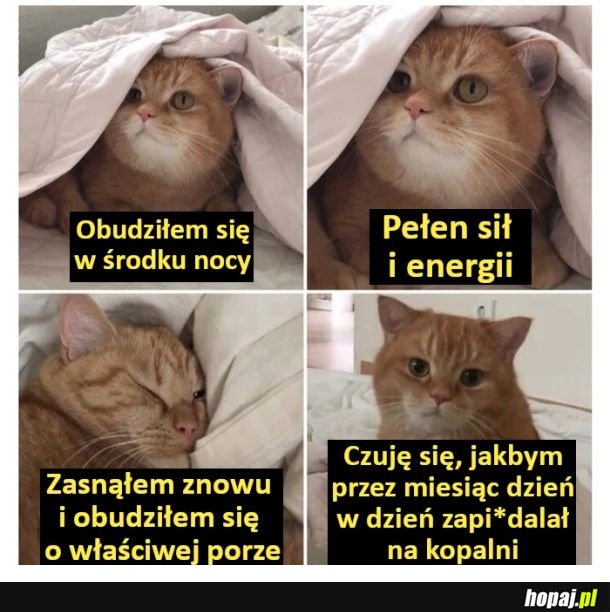 Zaebyście...