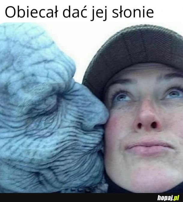 Na królową trzeba zasłużyć 