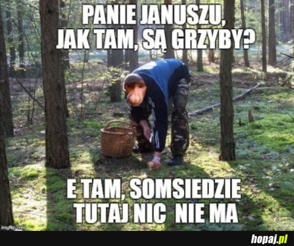 TYPOWY GRZYBIARZ