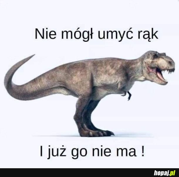 Dlatego wyginęły