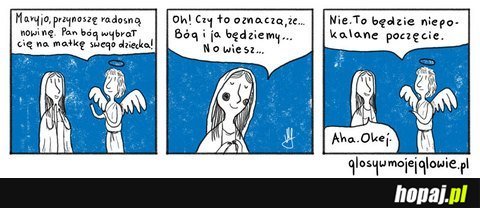 Niepokalane poczęcie