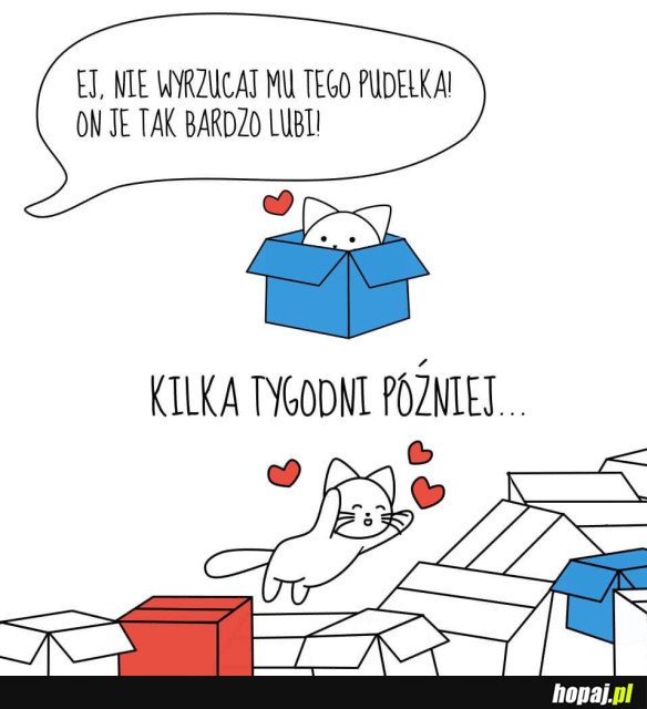 KOTEŁ CODZIENNY